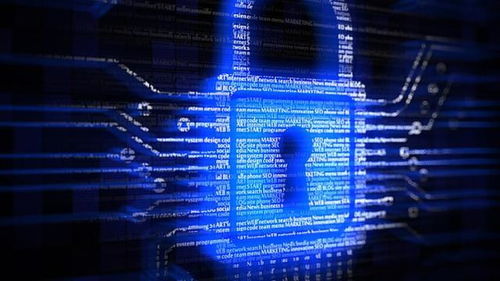 亮剑浦江 上海专项整治行动显著提升医疗服务类互联网企业数据安全与个人信息保护水平